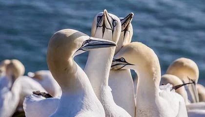 kaiyun网站-库里携妻出席体育慈善之夜引关注，库里ua