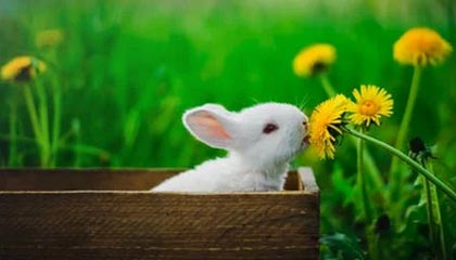 KAIYUN 中国大陆-青训教练员培训是否存在师资不足问题，教练员再教育培训